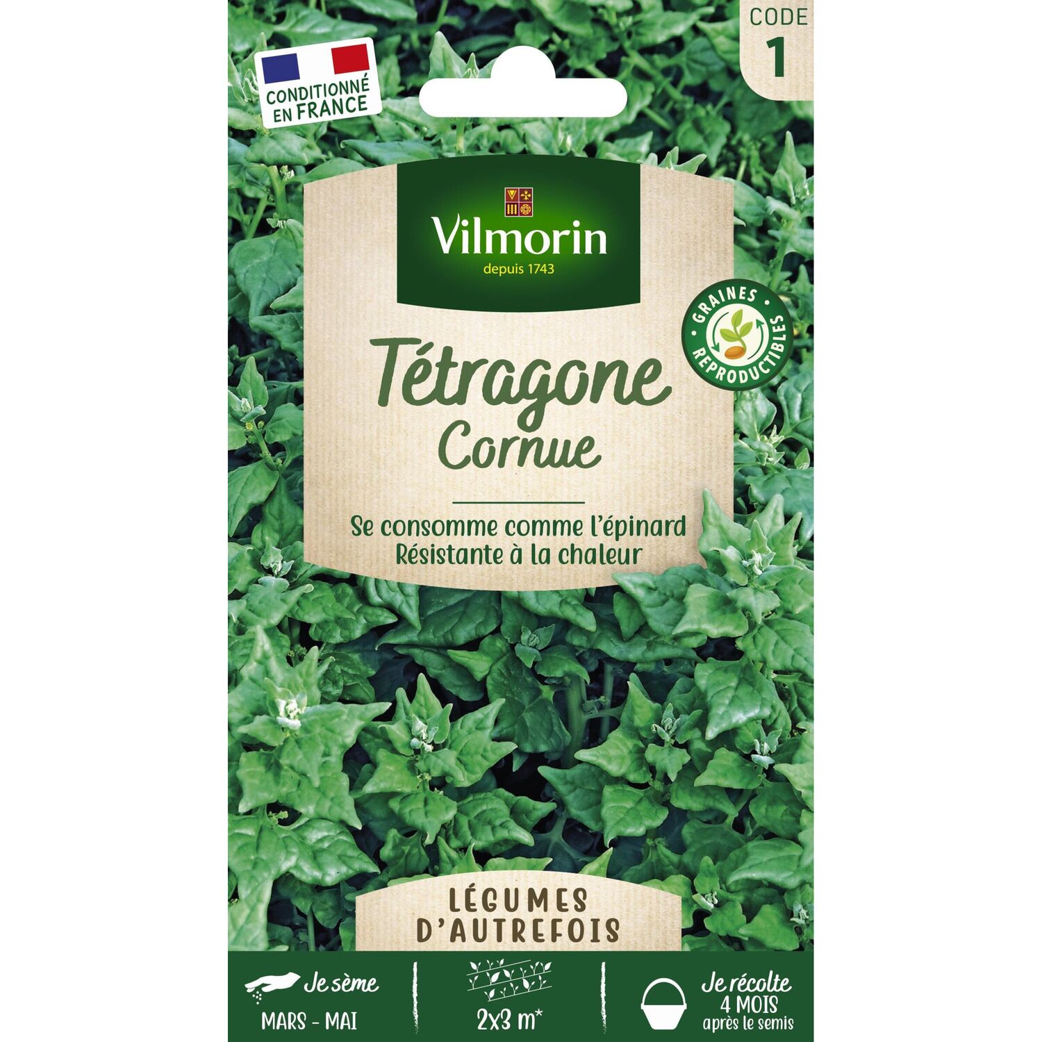 Graines Tétragone Cornue - VILMORIN