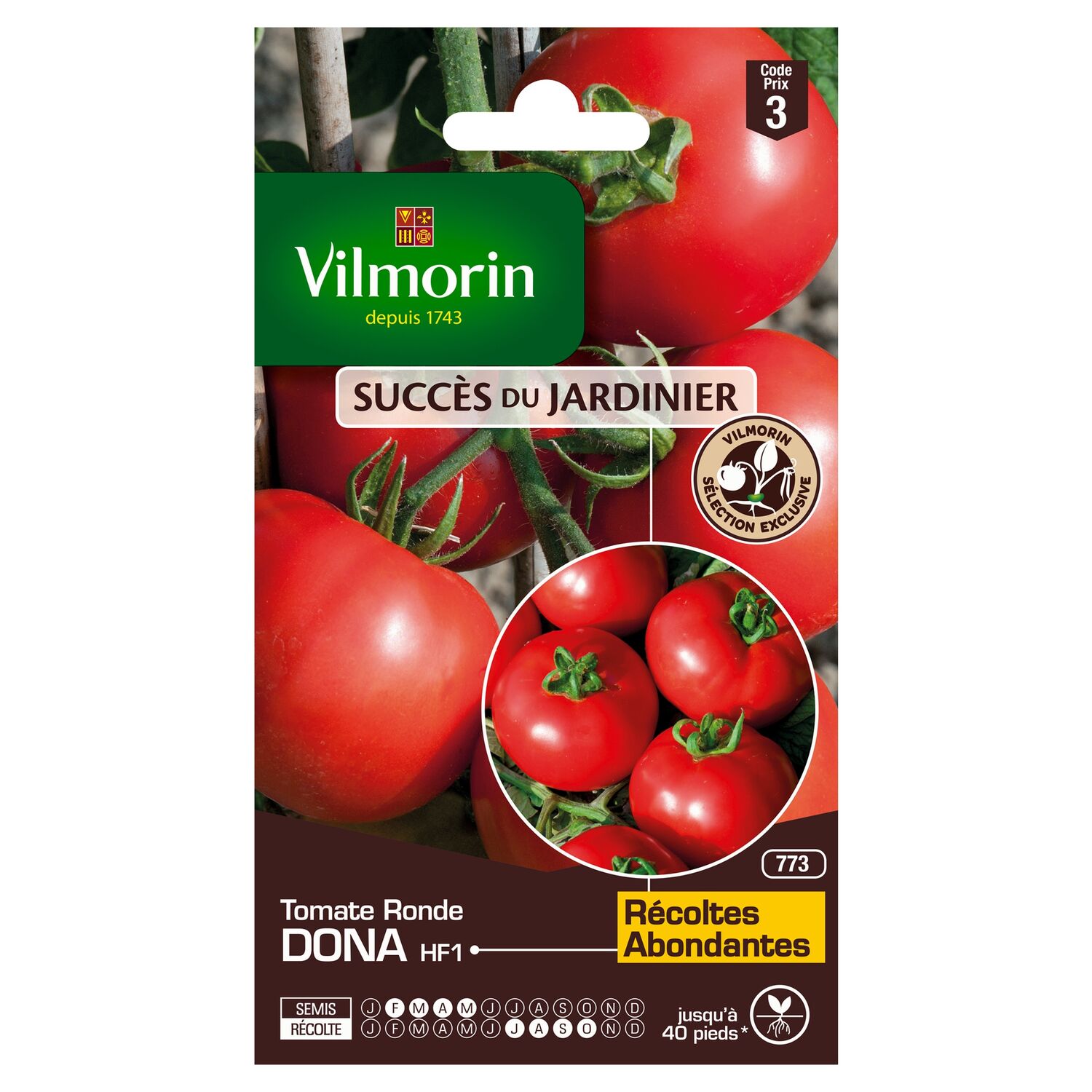 Tomate Dona HF1
