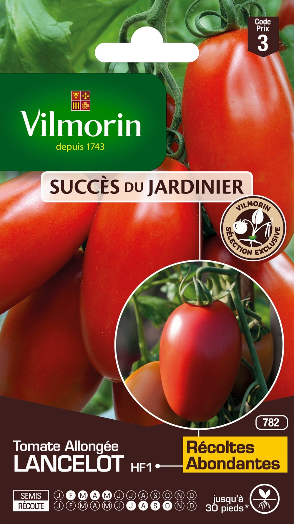 Graines Tomate Lancelot HF1 - VILMORIN
