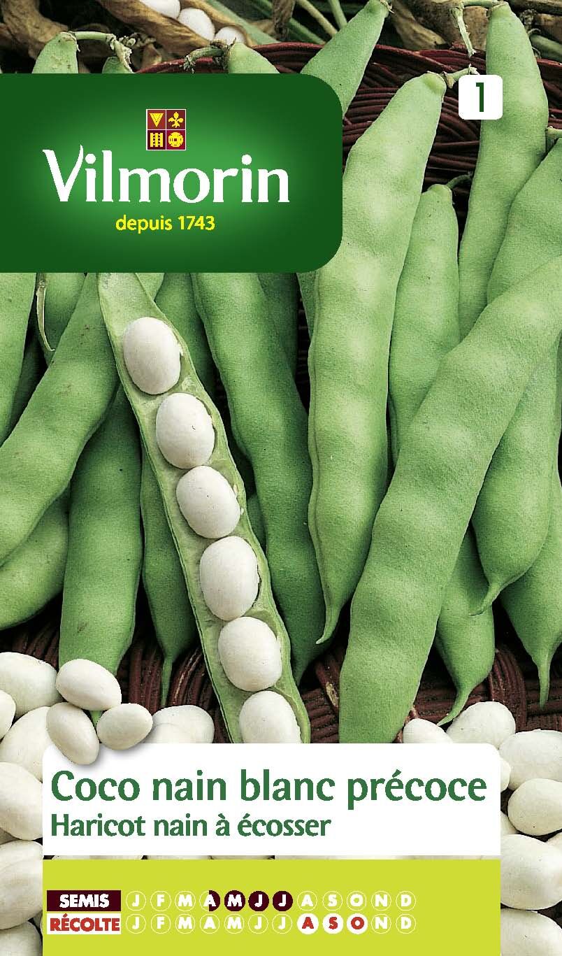Haricot coco nain blanc précoce, nain à écosser, série 1 Vilmorin