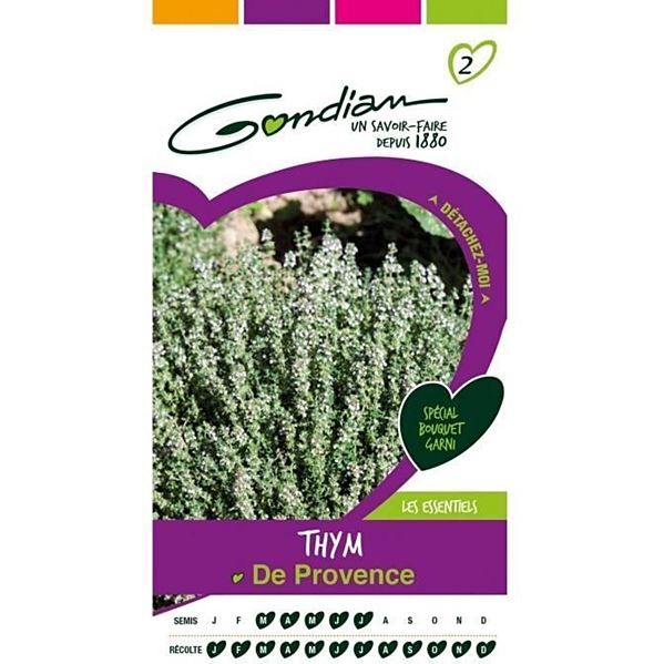 Graines Thym de Provence - GONDIAN