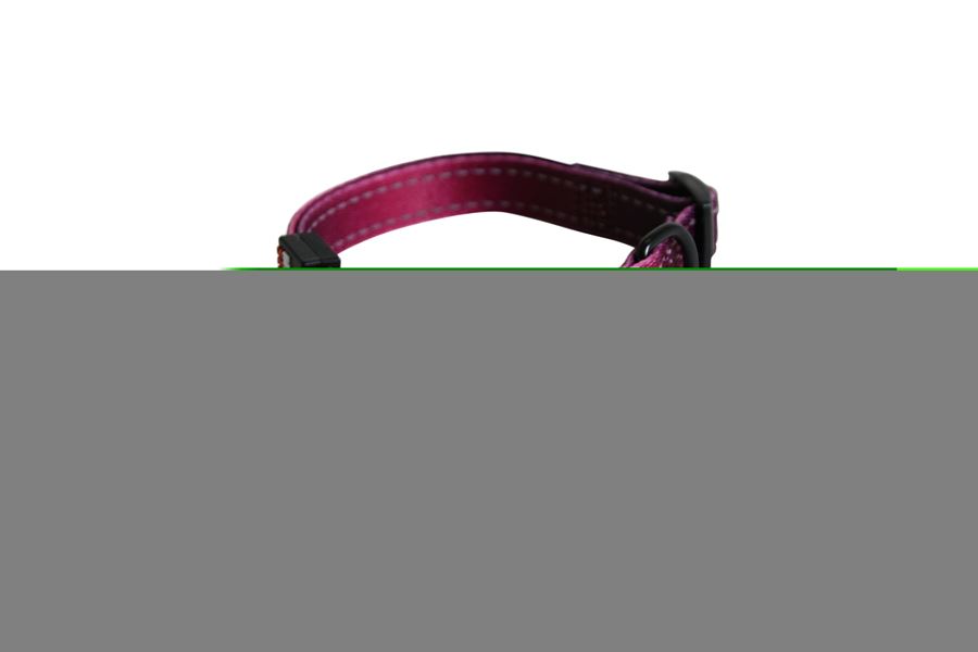 Collier nylon réglable 16/35-45 bordeau