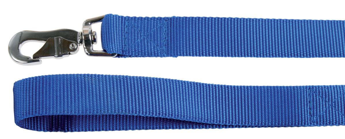 Laisse bleu nylon 60cm XL