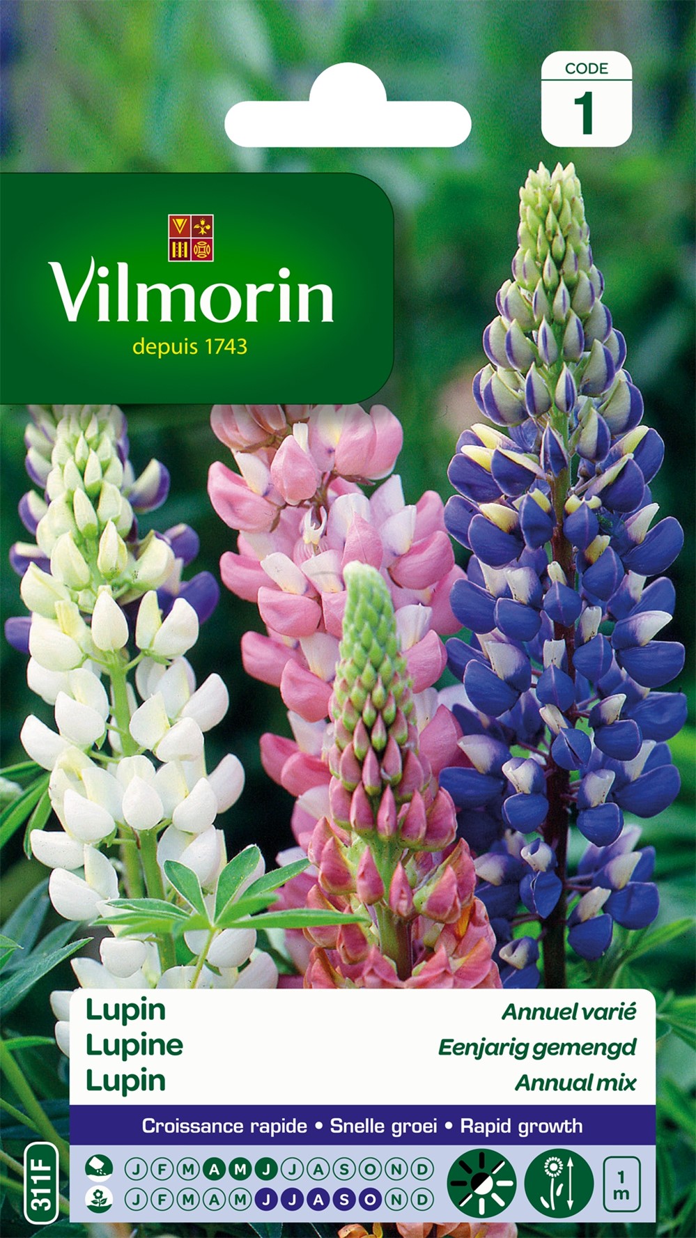 Graines Lupin Annuel Varié - VILMORIN