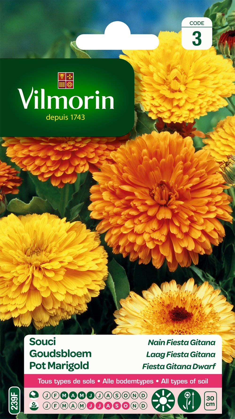 Graines Souci Nain Fiesta Gitana - VILMORIN