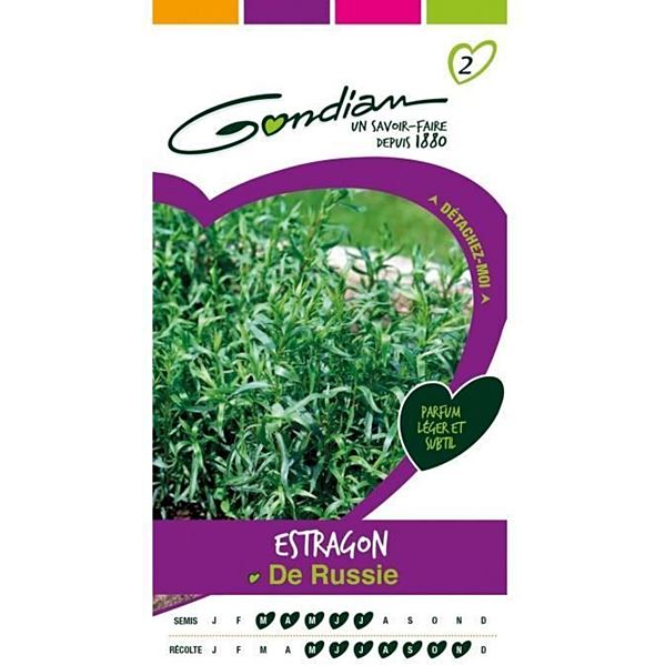 Graines Estragon de Russie - GONDIAN