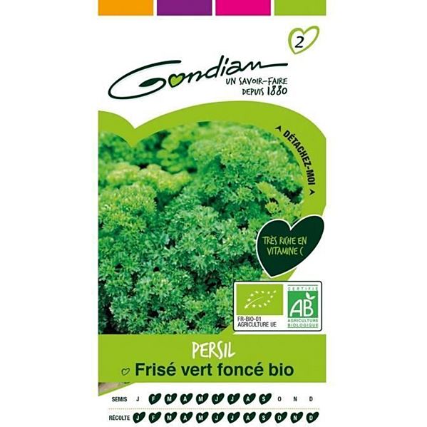 Graines Persil Frisé Vert Foncé Bio - GONDIAN