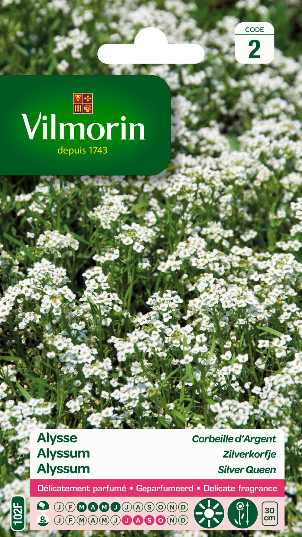 Graines Alysse Corbeille d'Argent - VILMORIN