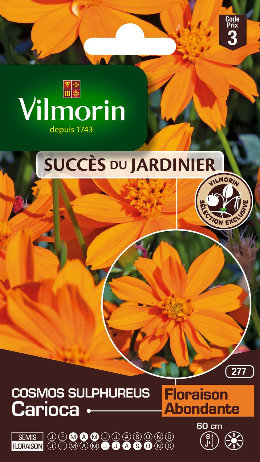 Graines Cosmos Sulphureus Carioca - VILMORIN
