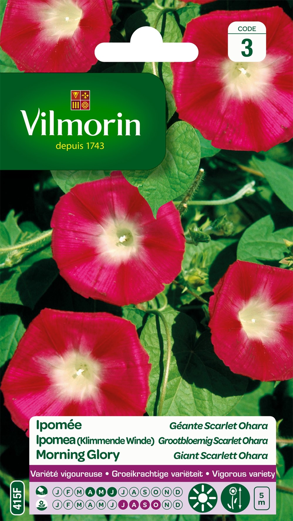 Graines Ipomée Géante Scarlett O'Hara - VILMORIN