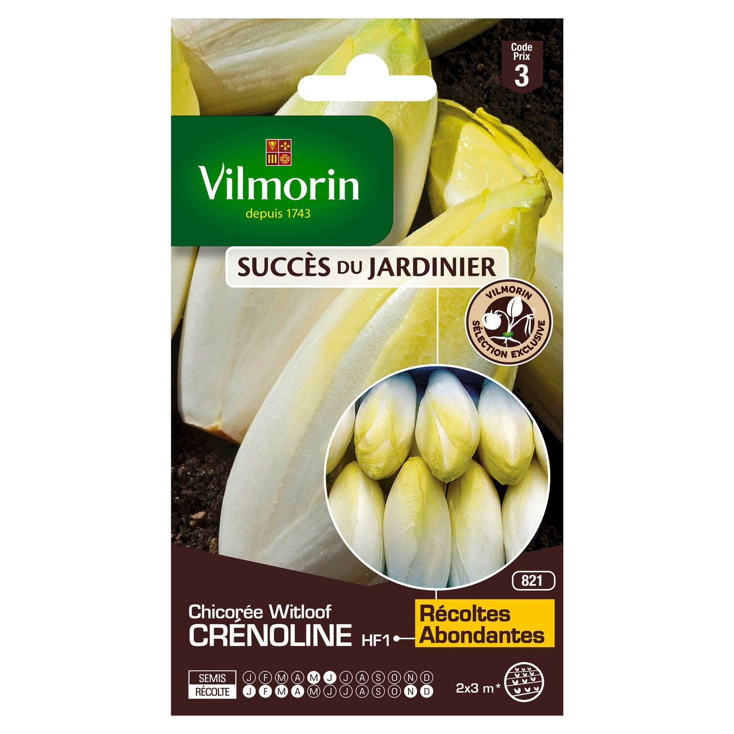 Graines Chicorée Witloof Crénoline HF1 - VILMORIN