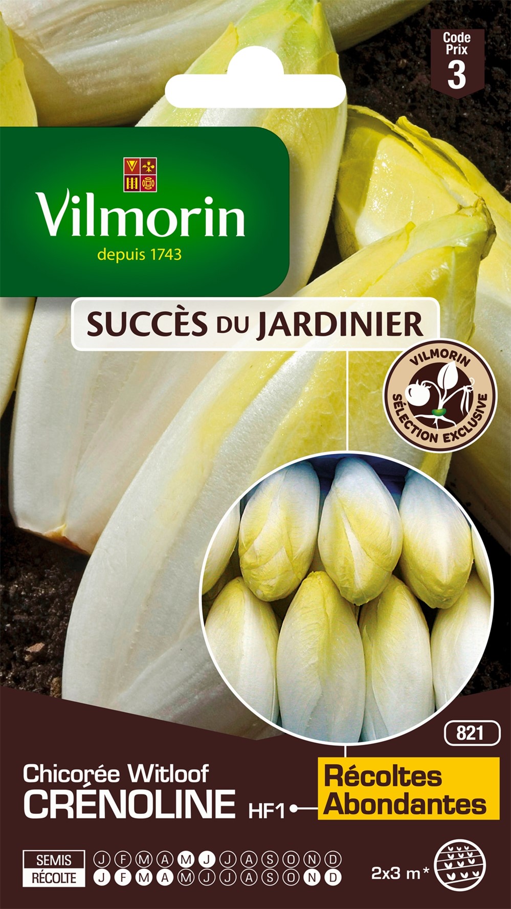 Graines Chicorée Witloof Crénoline HF1 - VILMORIN