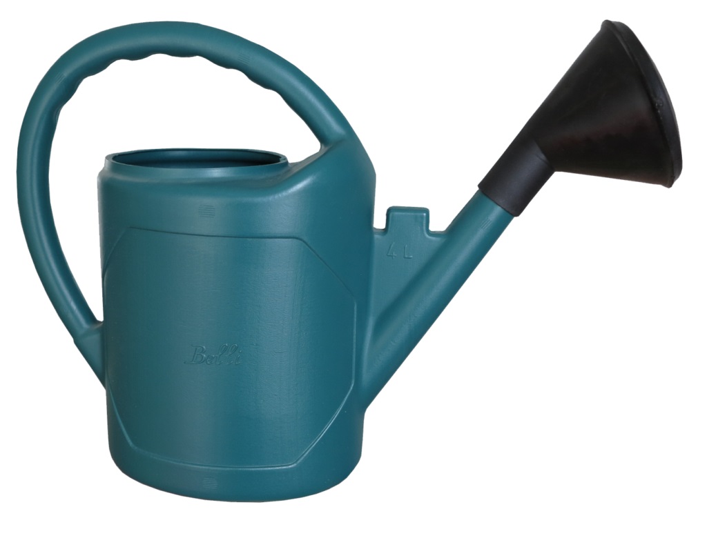 Arrosoir ovale avec pomme 4L vert