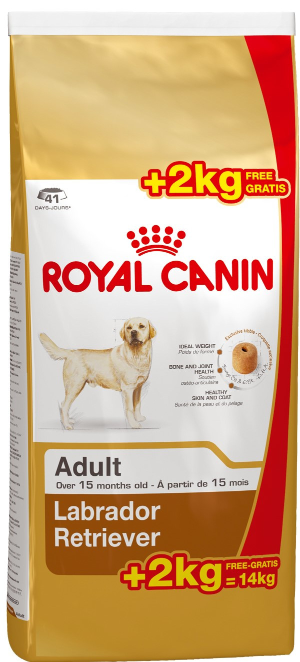 Croquettes Chien Labrador Adult 12kg+2kg ROYAL CANIN