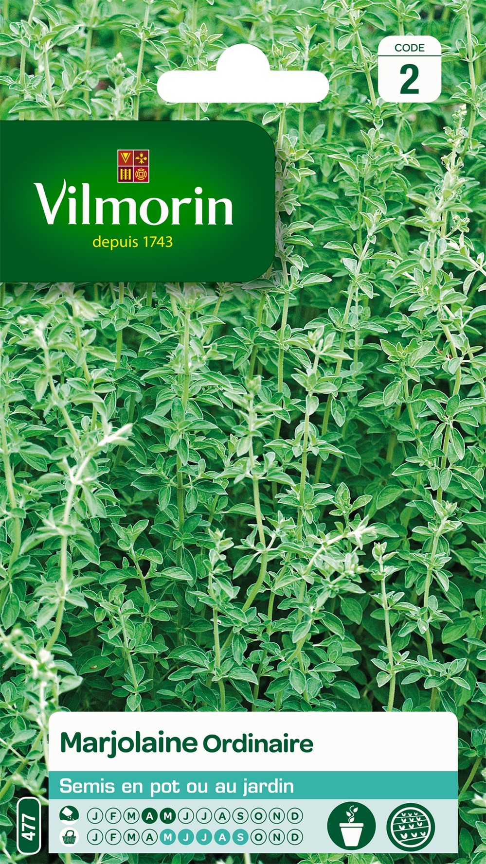 Graines Marjolaine Annuelle - VILMORIN