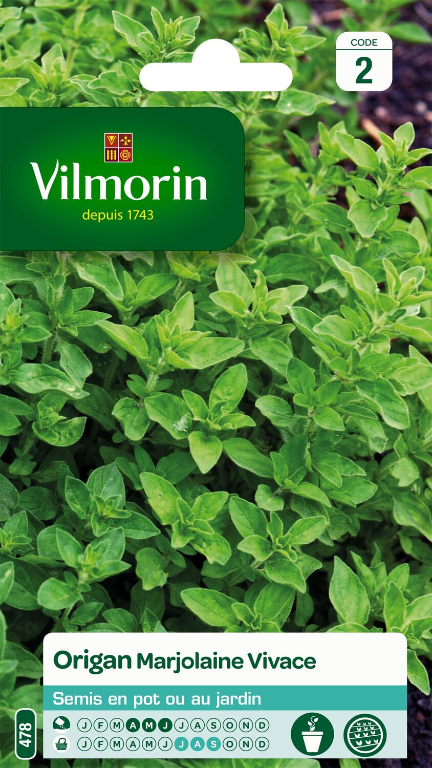 Graines Origan Marjolaine Vivace - VILMORIN