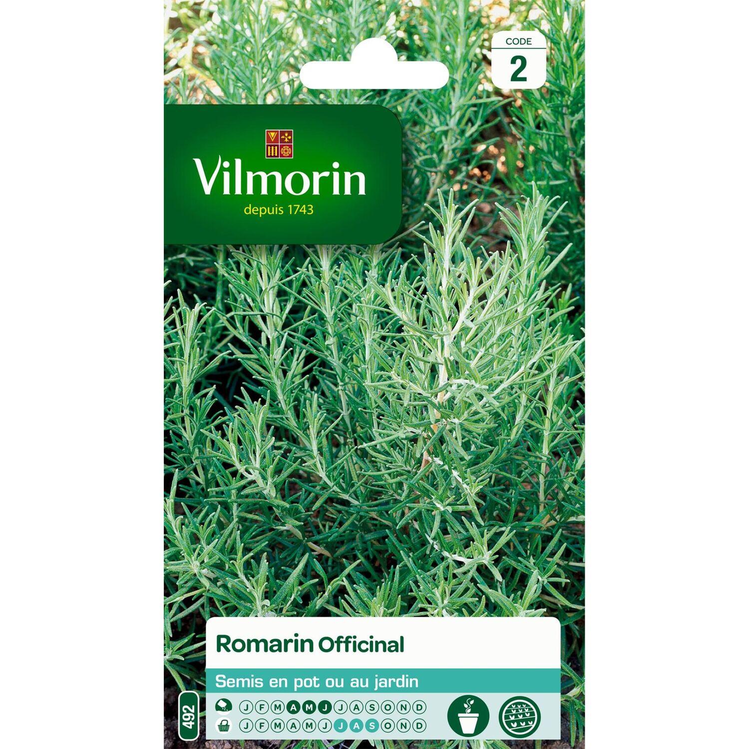 Graines Romarin Officinal - VILMORIN