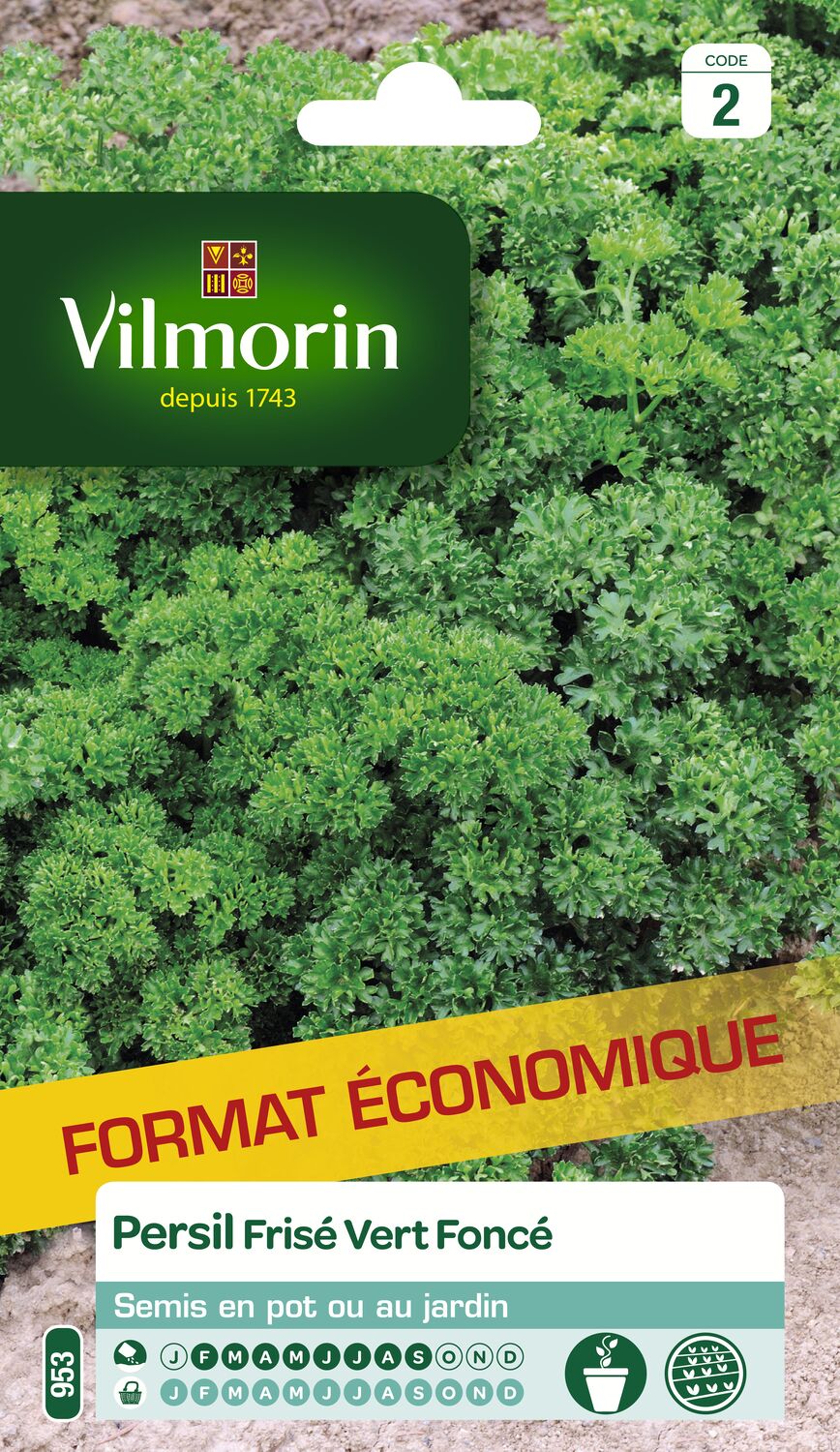 Graines Persil Frisé Vert Foncé - VILMORIN