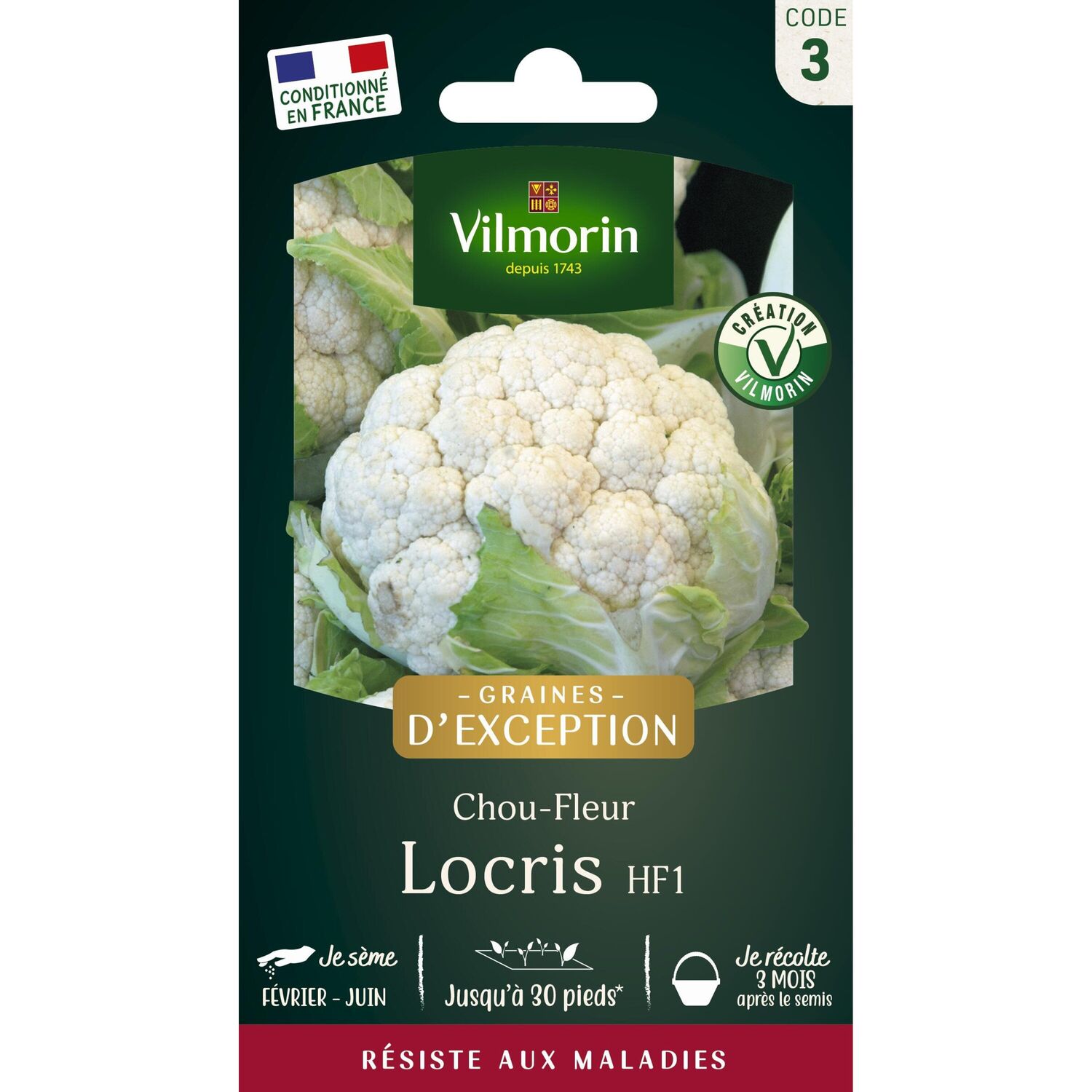 Graines Chou Fleur Locris HF1 - VILMORIN