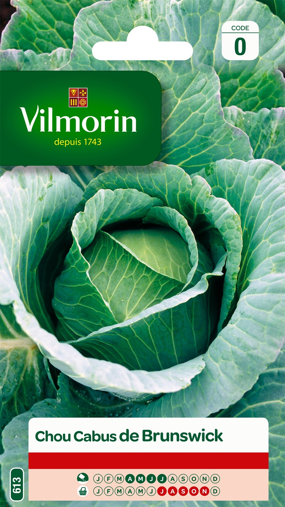Graines Chou Blanc de Brunswick - VILMORIN