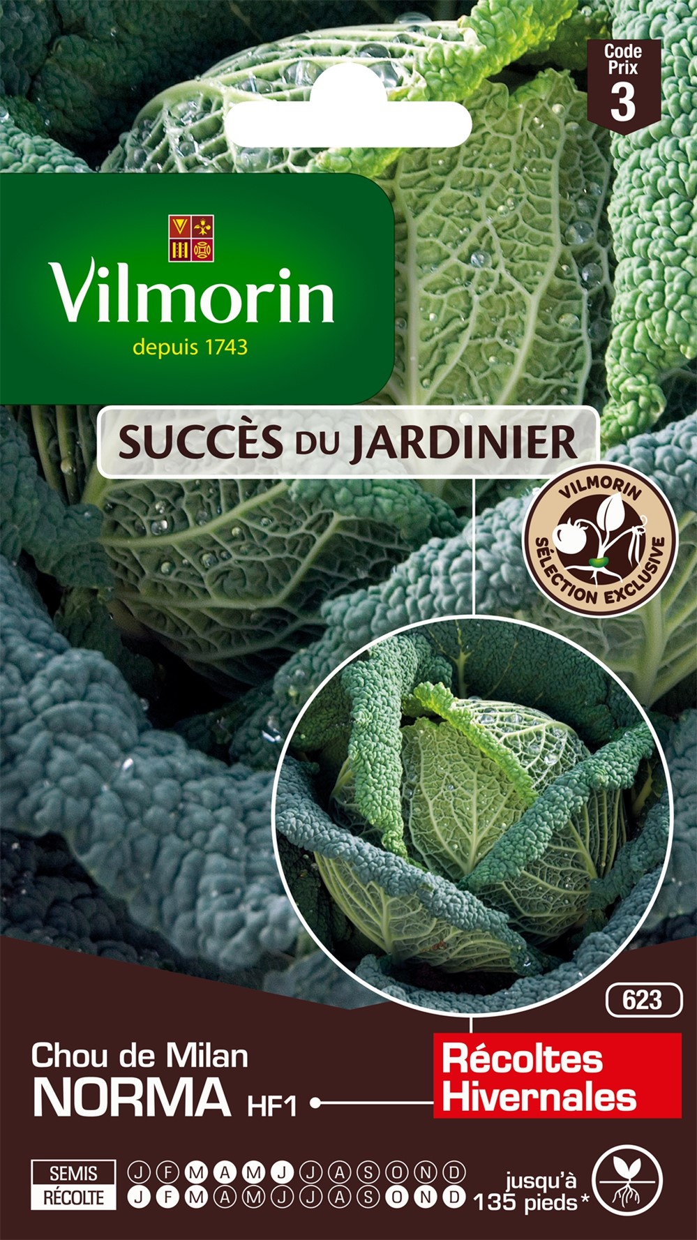 Graines Chou de Milan Norma HF1 - VILMORIN