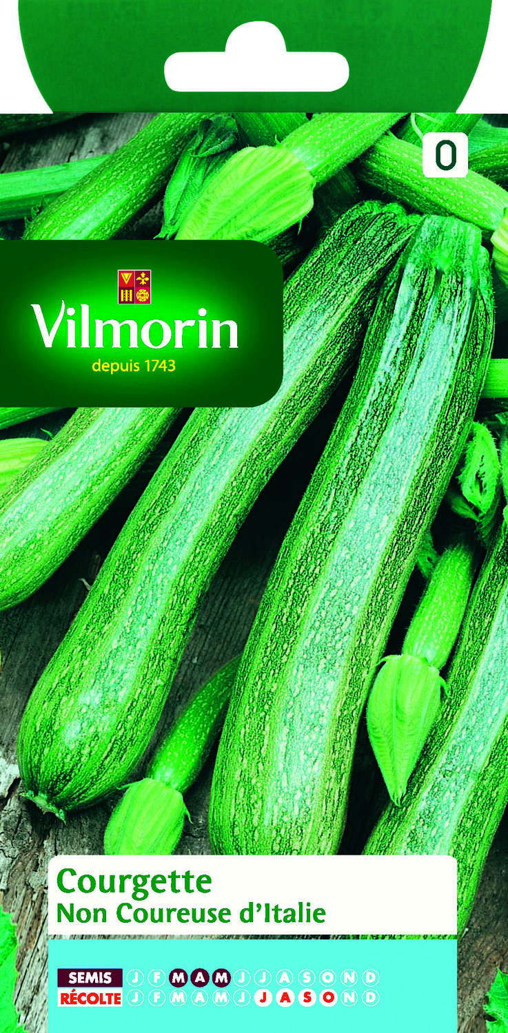 Graines Courgette Verte Non Coureuse d'Italie - VILMORIN