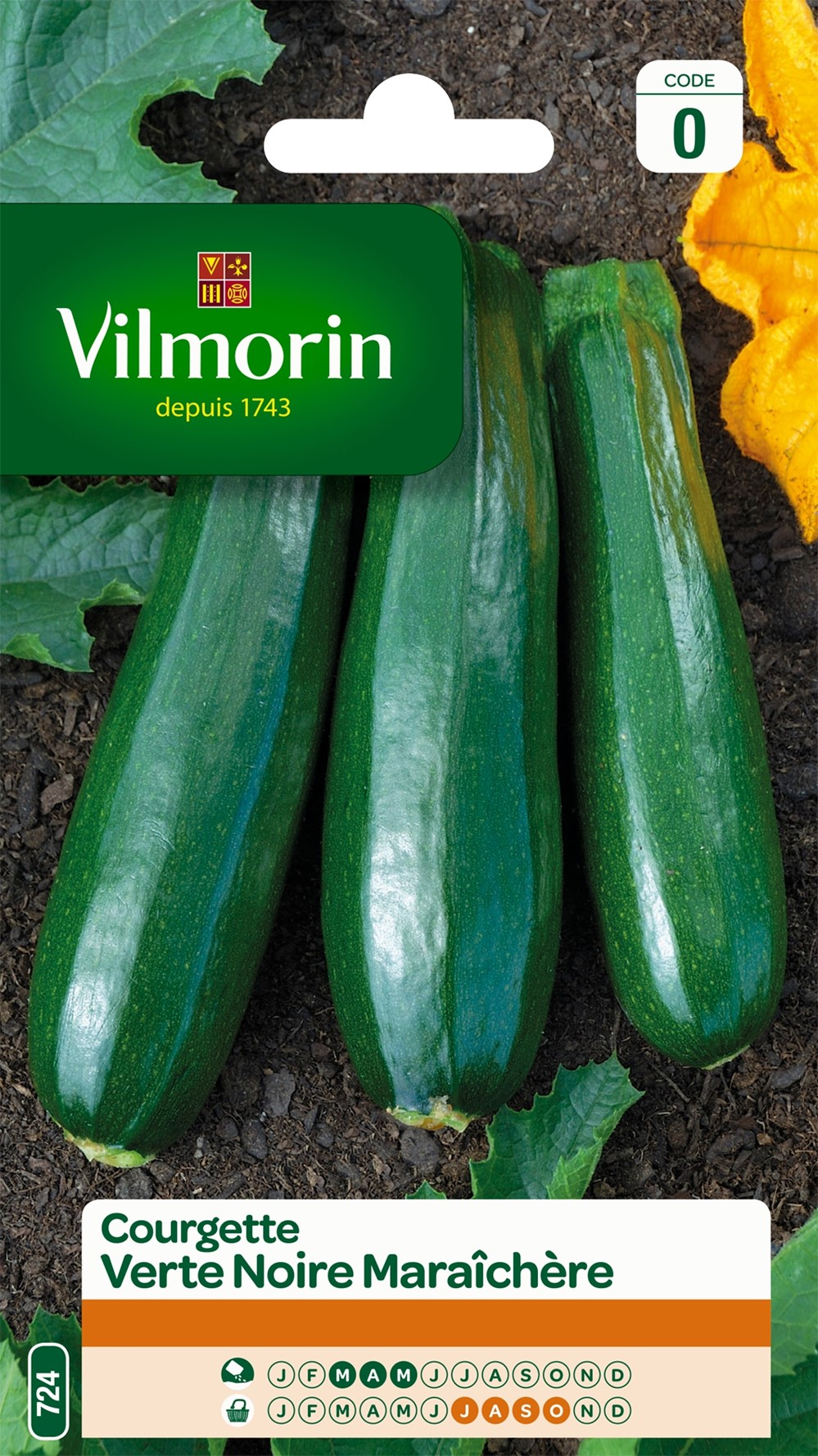 Graines Courgette Verte Noire Maraîchère - VILMORIN