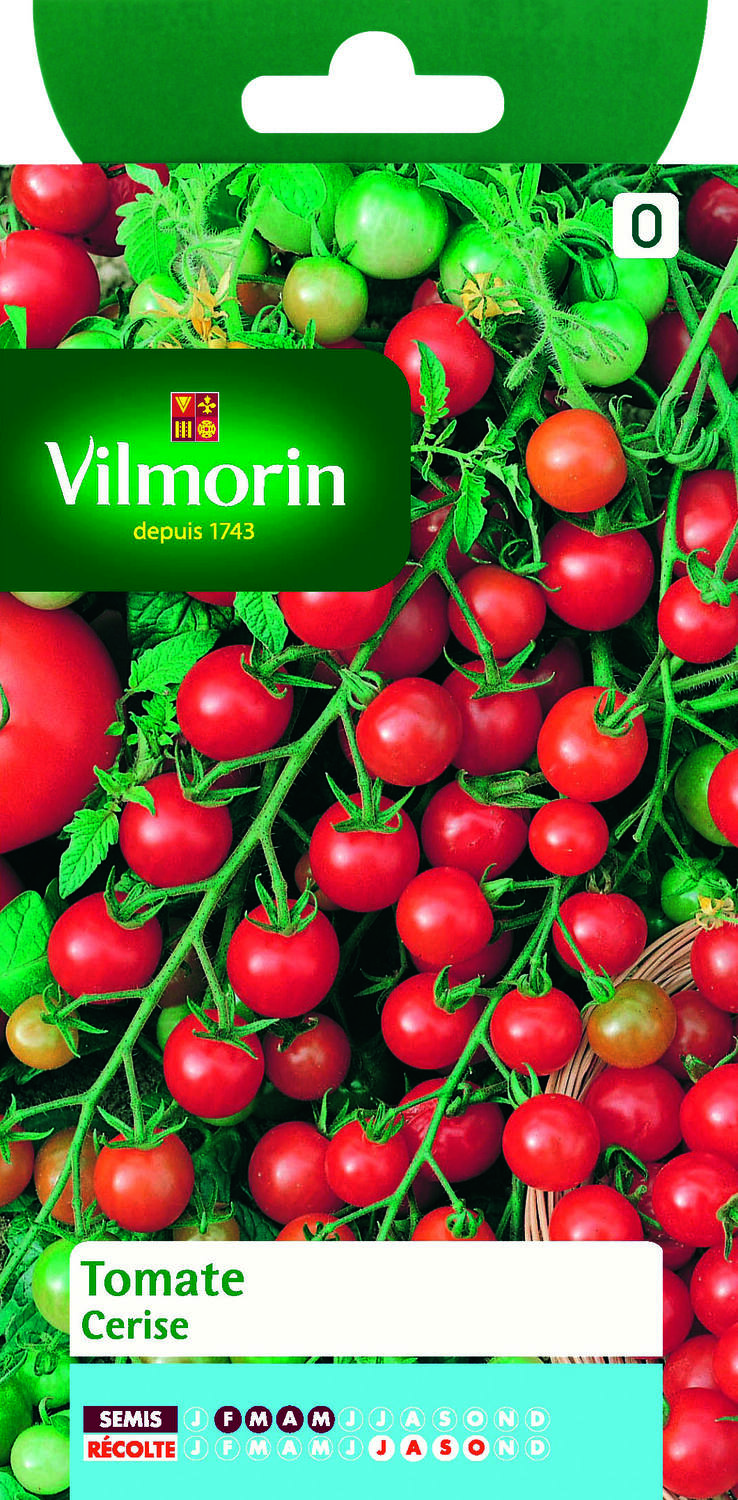 Graines Tomate Cerise - VILMORIN