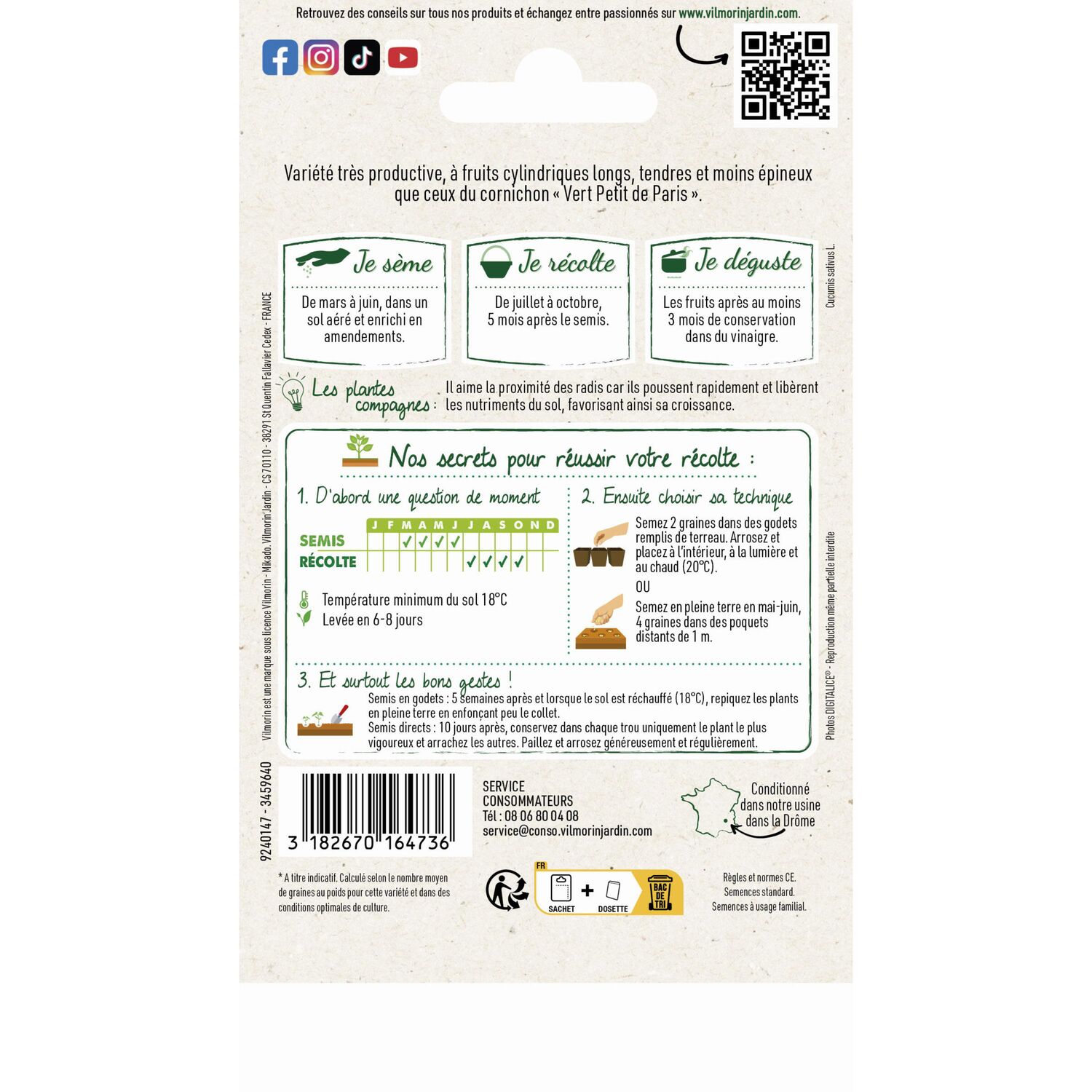 Graines Cornichon Fin de Meaux - VILMORIN