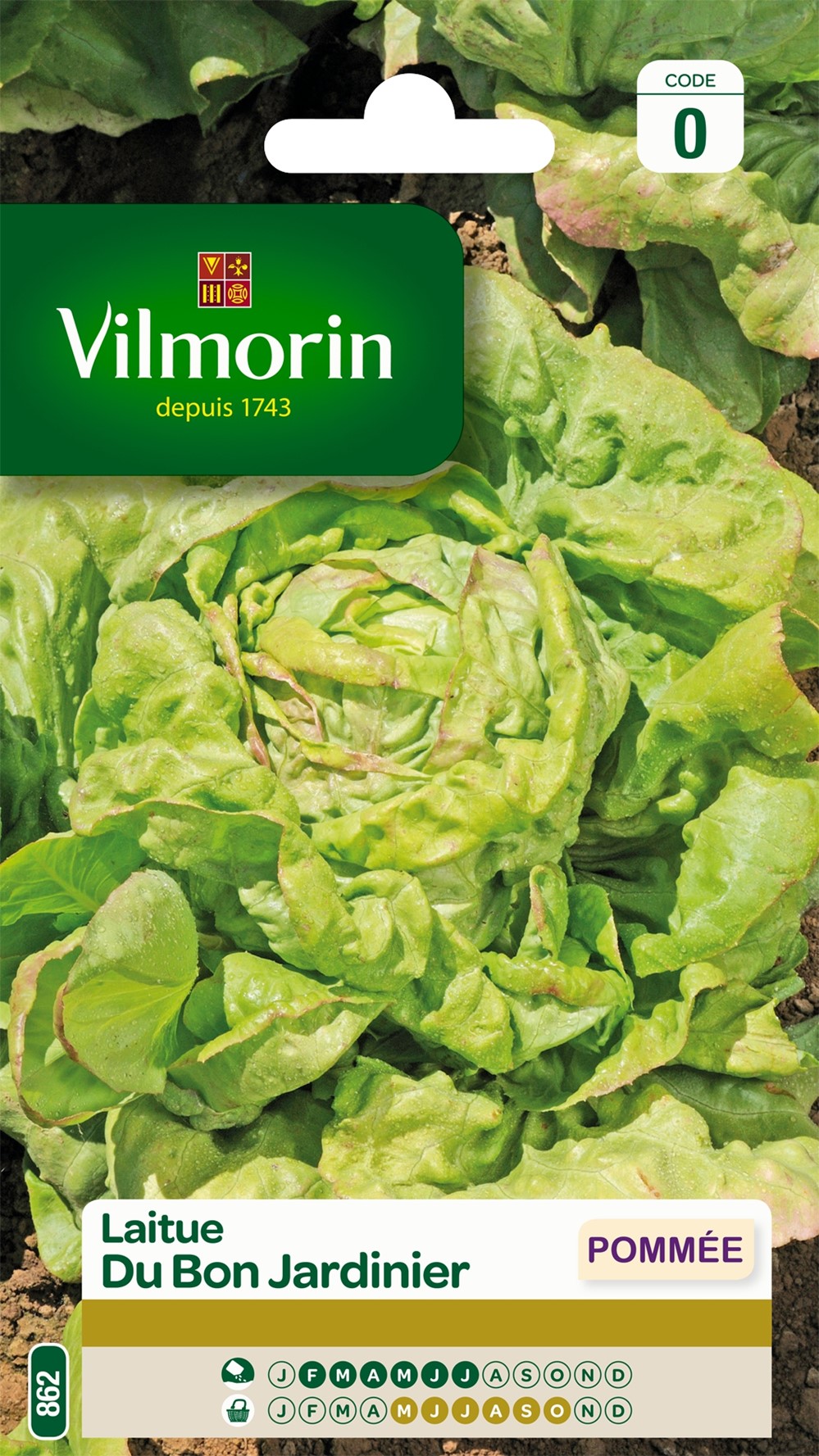 Graines Laitue Pommée du Bon Jardinier - VILMORIN