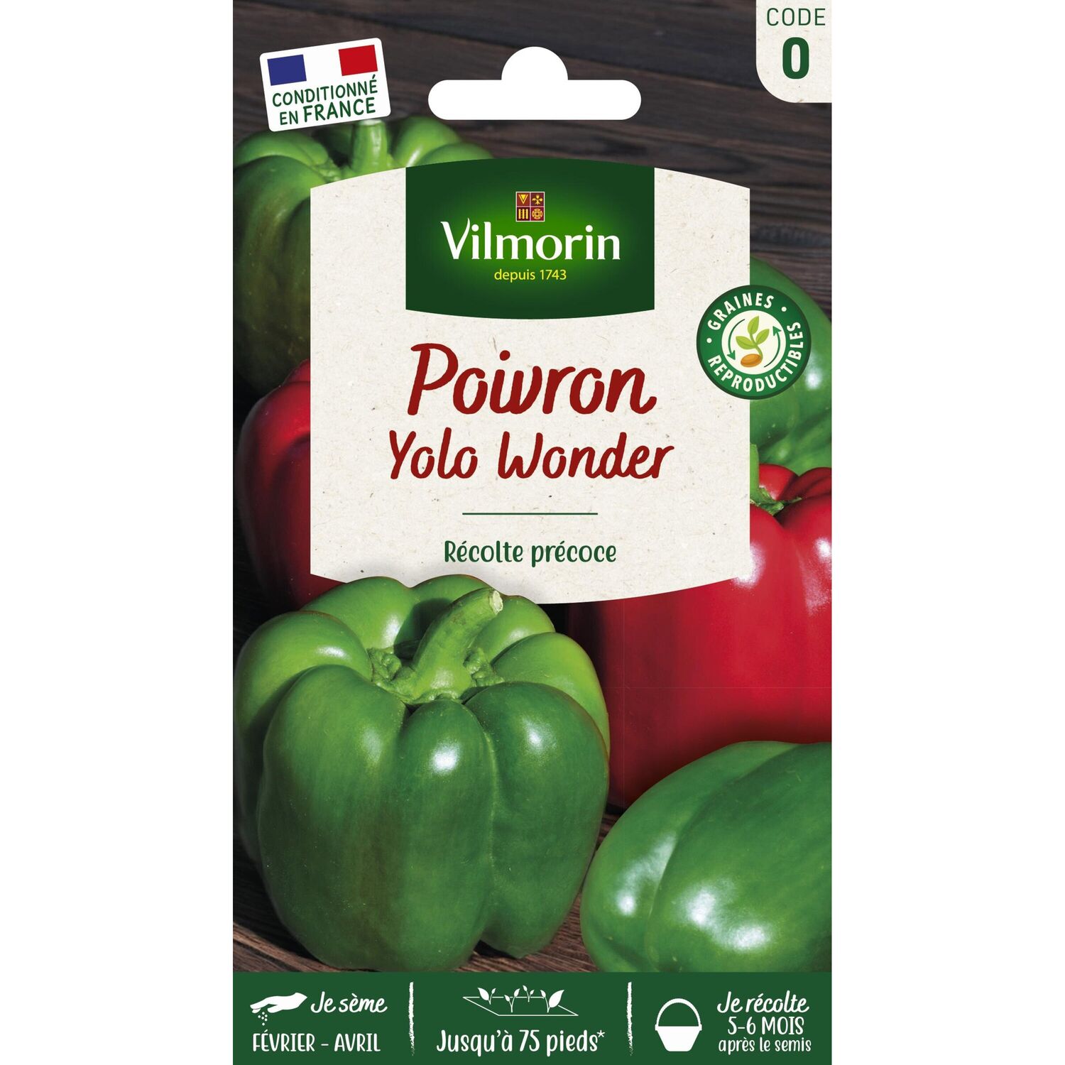 Graines Poivron Yolo Wonder - VILMORIN