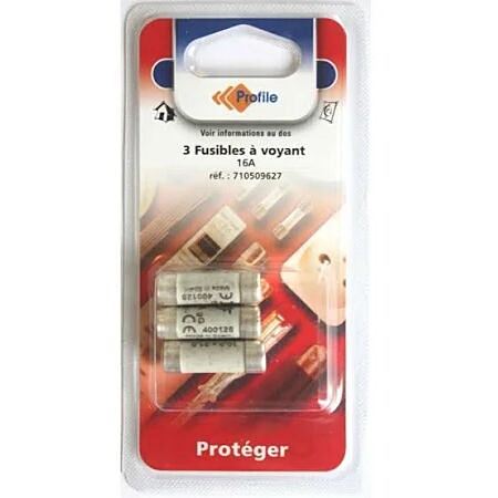 FUSIBLE VOYANT 16A 10.3X31.5 X3