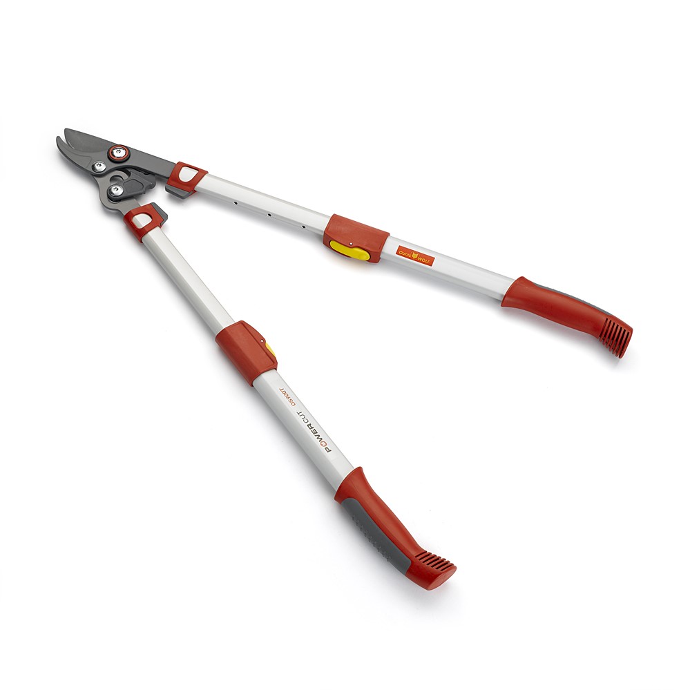 Élagueur télescopique POWERCUT à coupe franche - OS900T - OUTILS WOLF
