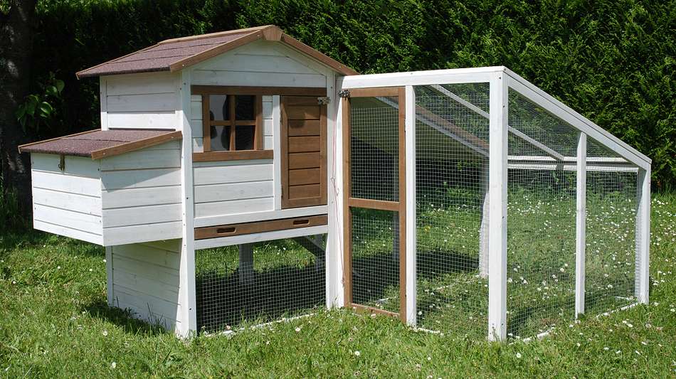 Poulailler Nevada Extend 218x155x120,5cm - LIFLAND
