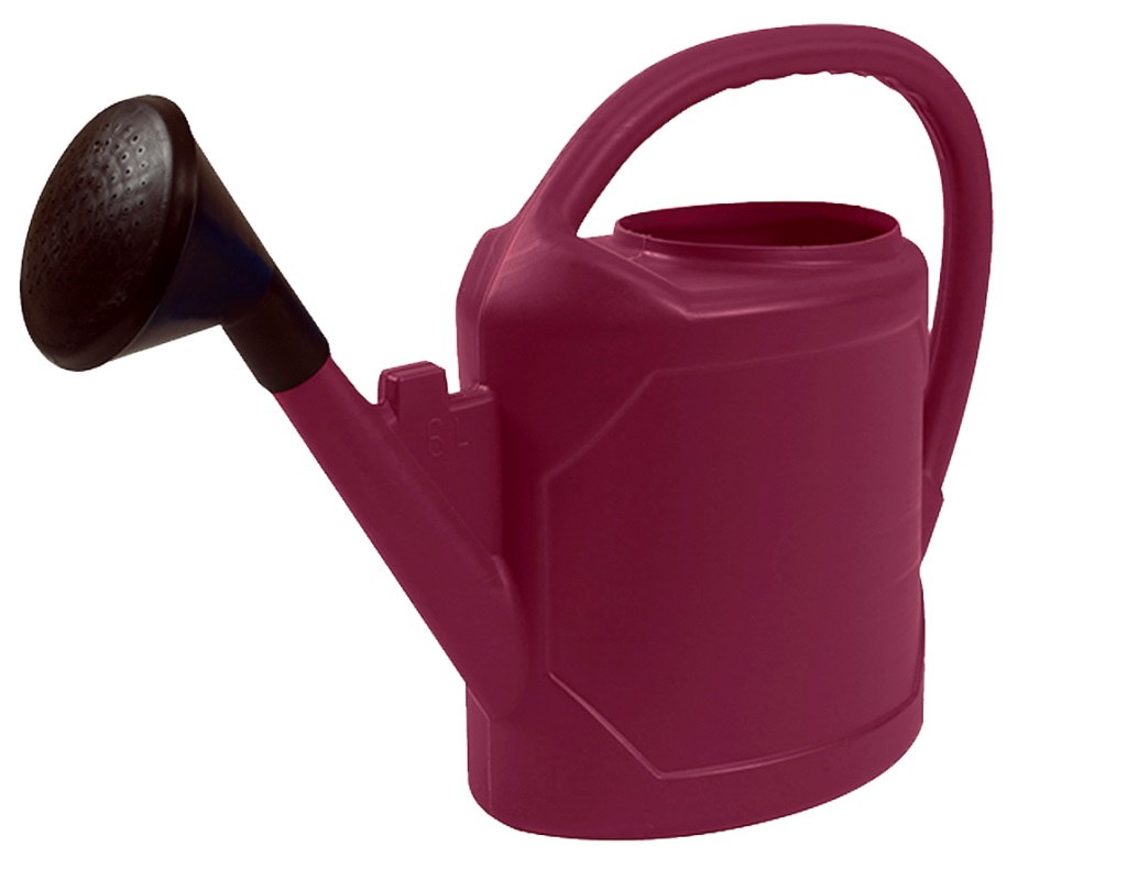 Arrosoir ovale avec pomme 6 L PRUNE