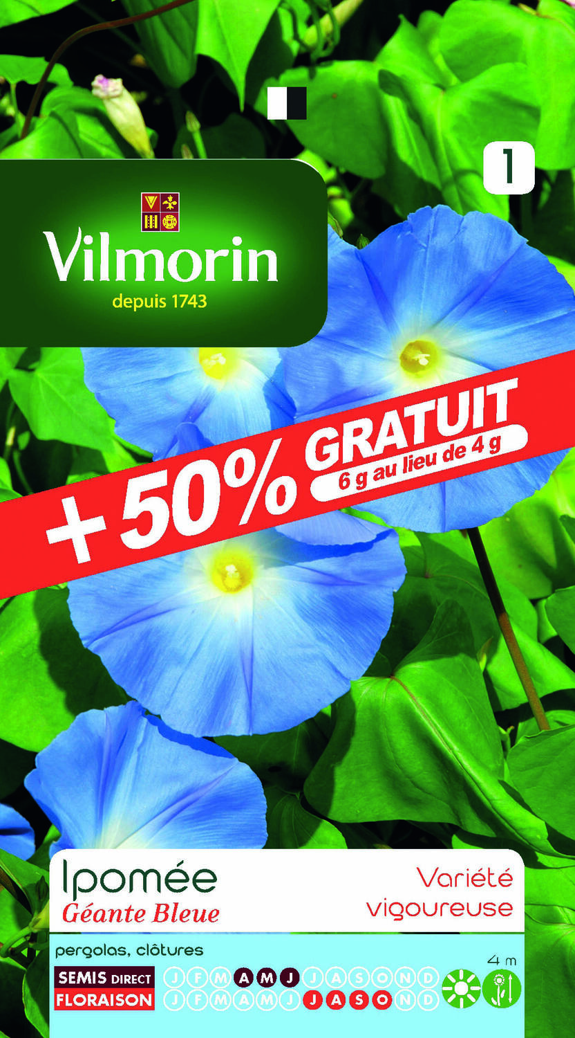 Graines Ipomée Géante Bleue - VILMORIN