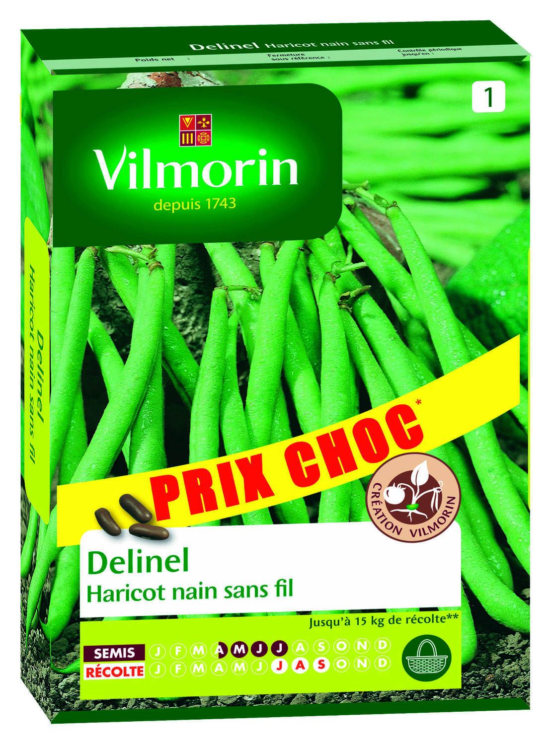 Graines Haricot Nain Vert Delinel - VILMORIN