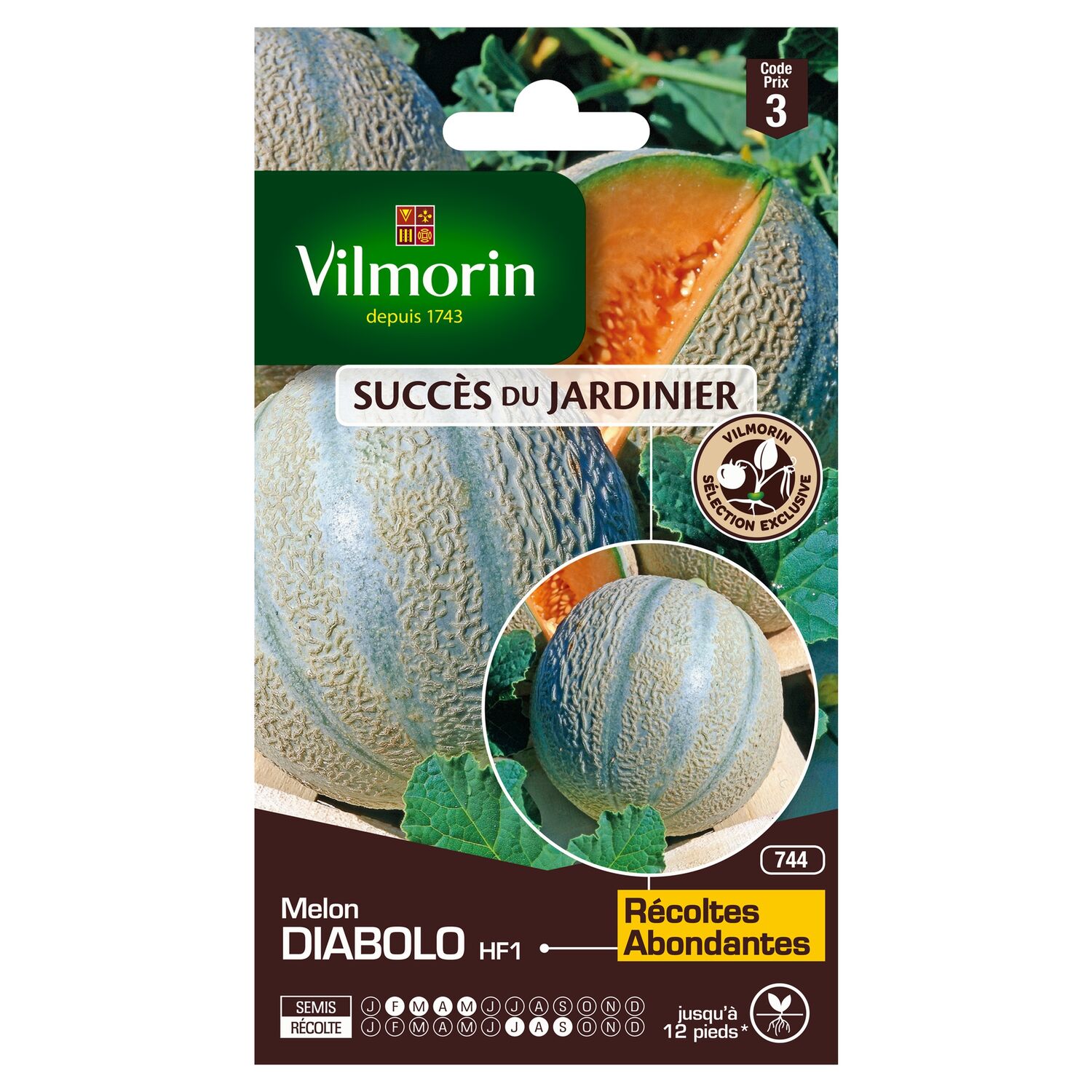 Graines Melon Diabolo HF1 - VILMORIN
