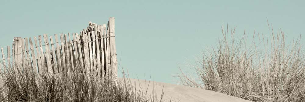 Toile Sommet de la dune 30x97cm