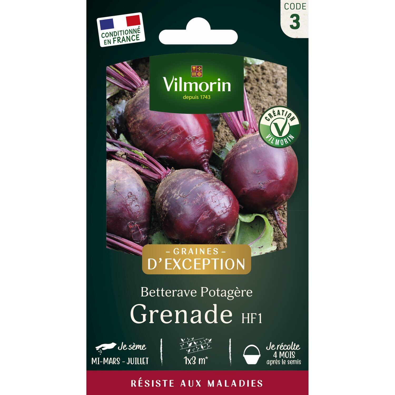 Graines Betterave Potagère Grenade HF1 - VILMORIN