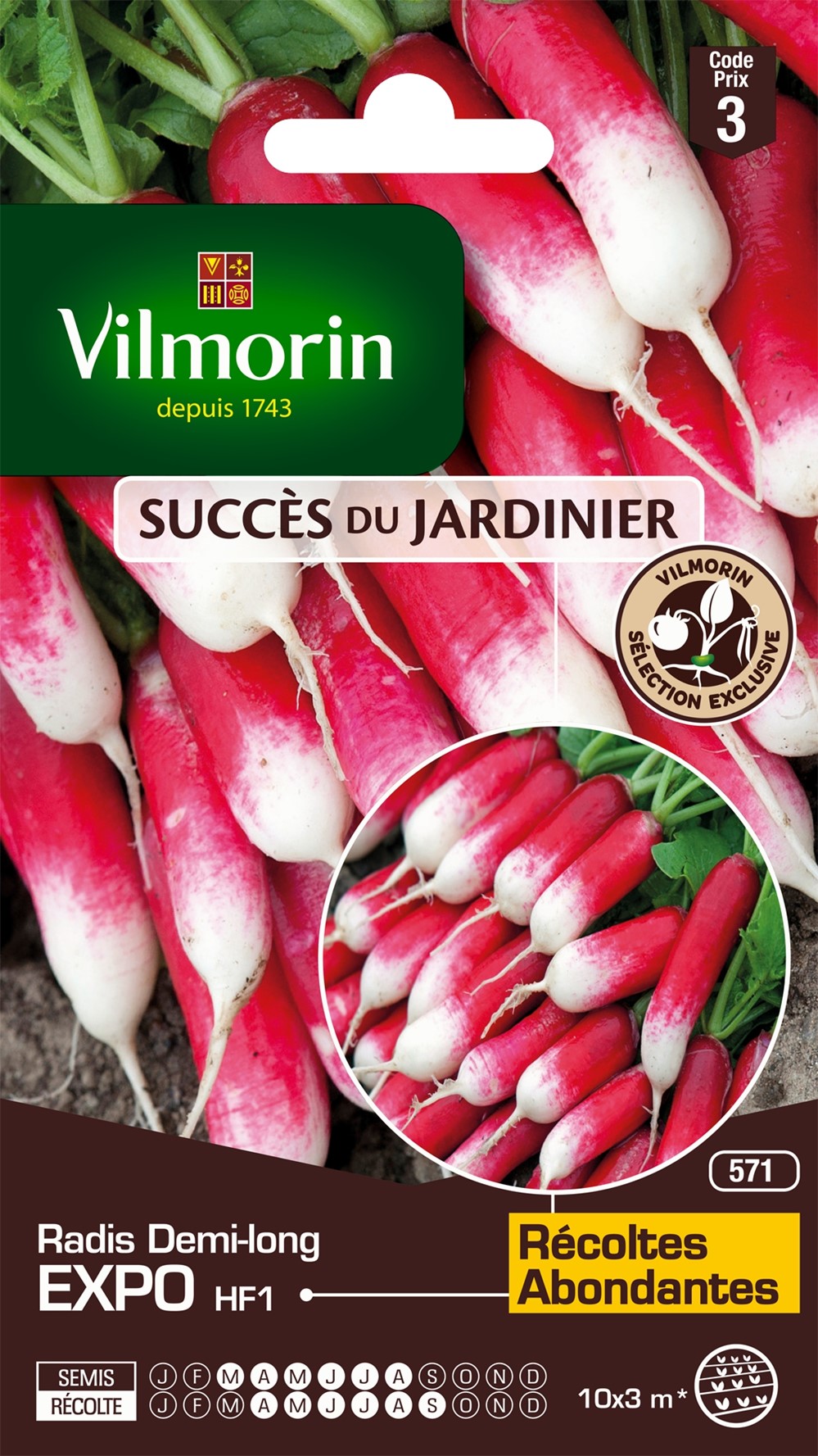 Graines Radis Expo HF1 - VILMORIN