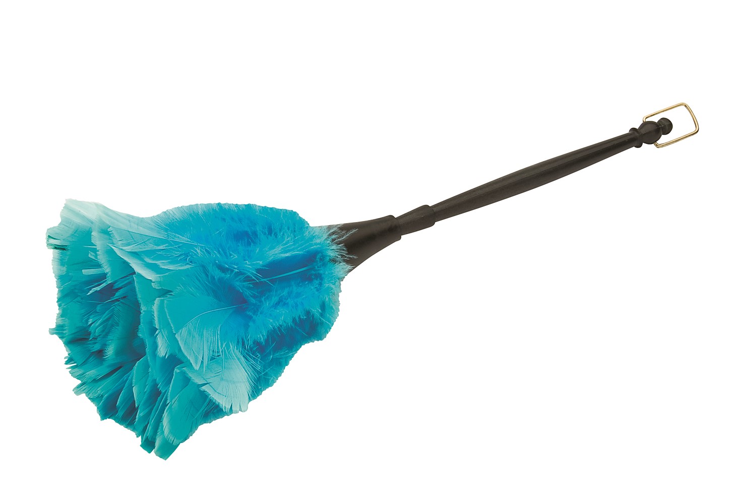 Plumeau Dindon