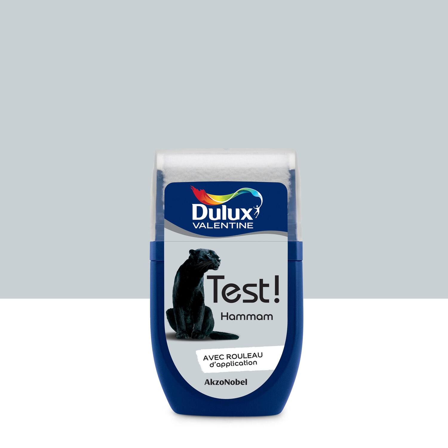Testeur de Peinture Crème de Couleur Hammam 30ml - DULUX VALENTINE