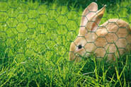 Grillage hexagonal acier plastifié vert maille 25x25mm 0.5x3m - IDEAL GARDEN