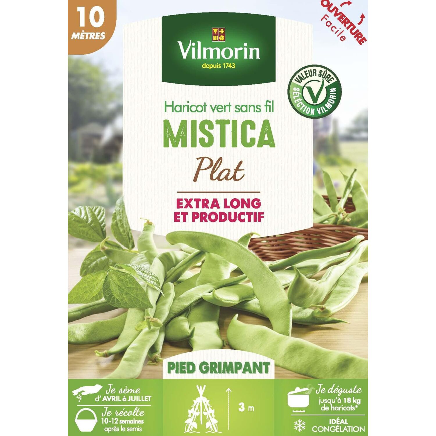 Graines Haricot Grimpant Plat Vert Mistica 10m - VILMORIN