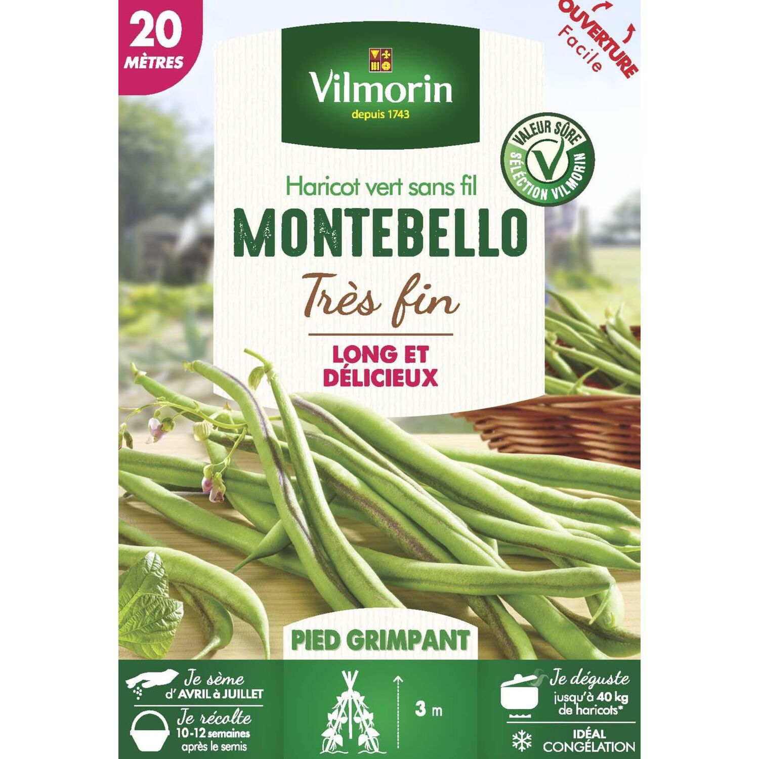 Graines Haricot Grimpant Vert Montebello 20m - VILMORIN