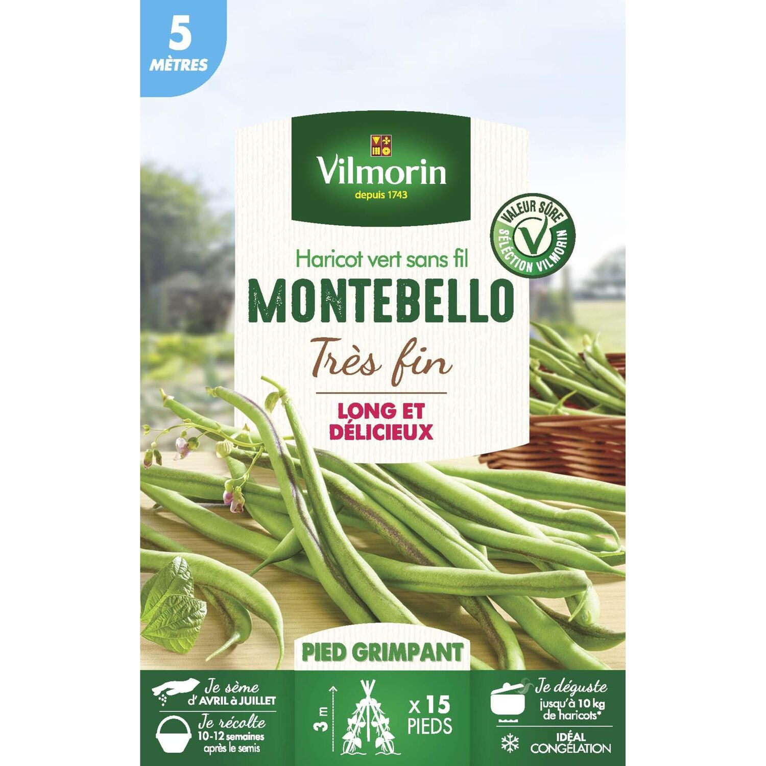 Graines Haricot Grimpant Vert Montebello 5m - VILMORIN