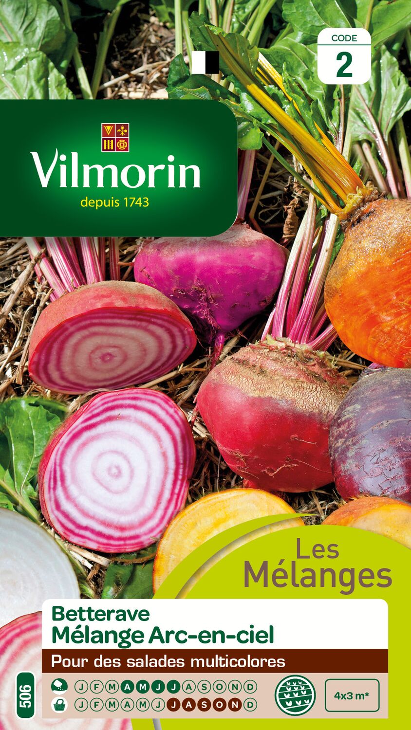 Graines Betterave Potagère Arc en Ciel - VILMORIN