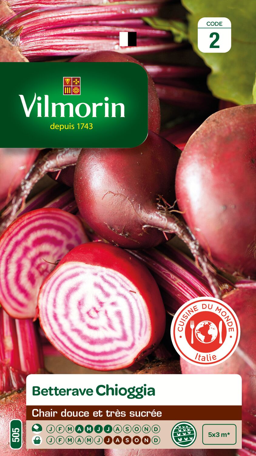 Graines Betterave Potagère Chioggia - VILMORIN