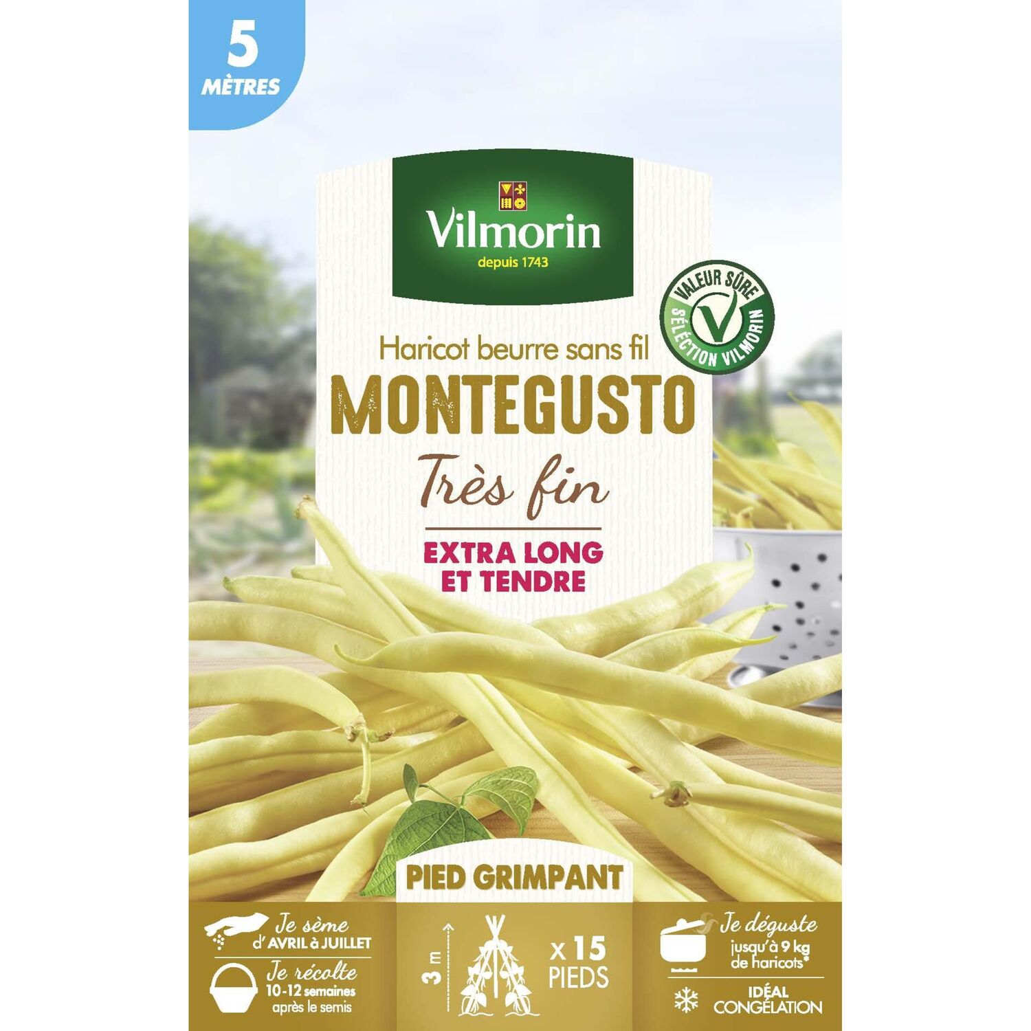 Graines Haricot Grimpant Beurre Monte Gusto 5m - VILMORIN